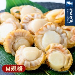 【阿家海鮮】日本熟凍帆立貝M (1kg/包.淨重800g/包) 